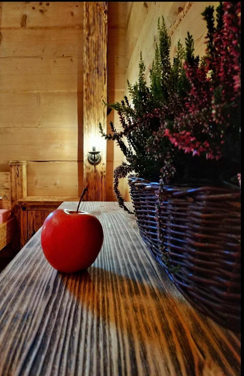 Bukowianska Ostoja - Sauna, Jacuzzi I Balia W Ofercie Bukowina Tatrzańska Exterior foto